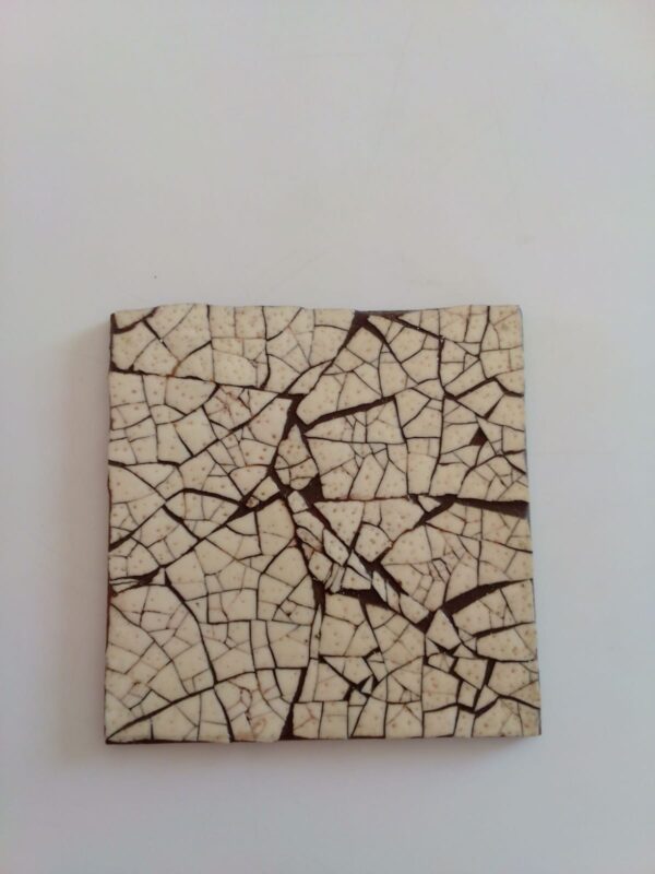 Ostrich Egg Mosaic Coasters (Set of 4)